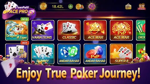 French Roulette payout summary and account balance update